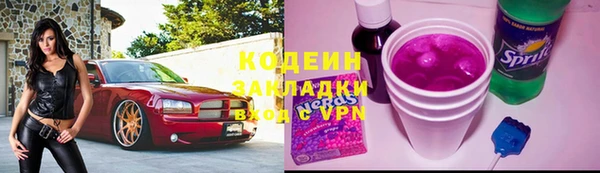 дурь Вяземский
