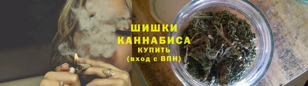 стафф Вязьма