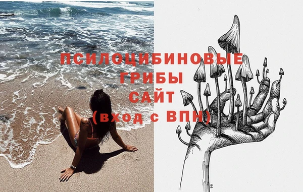 индика Вязники