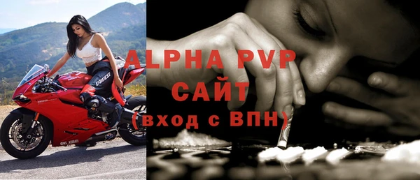индика Вязники